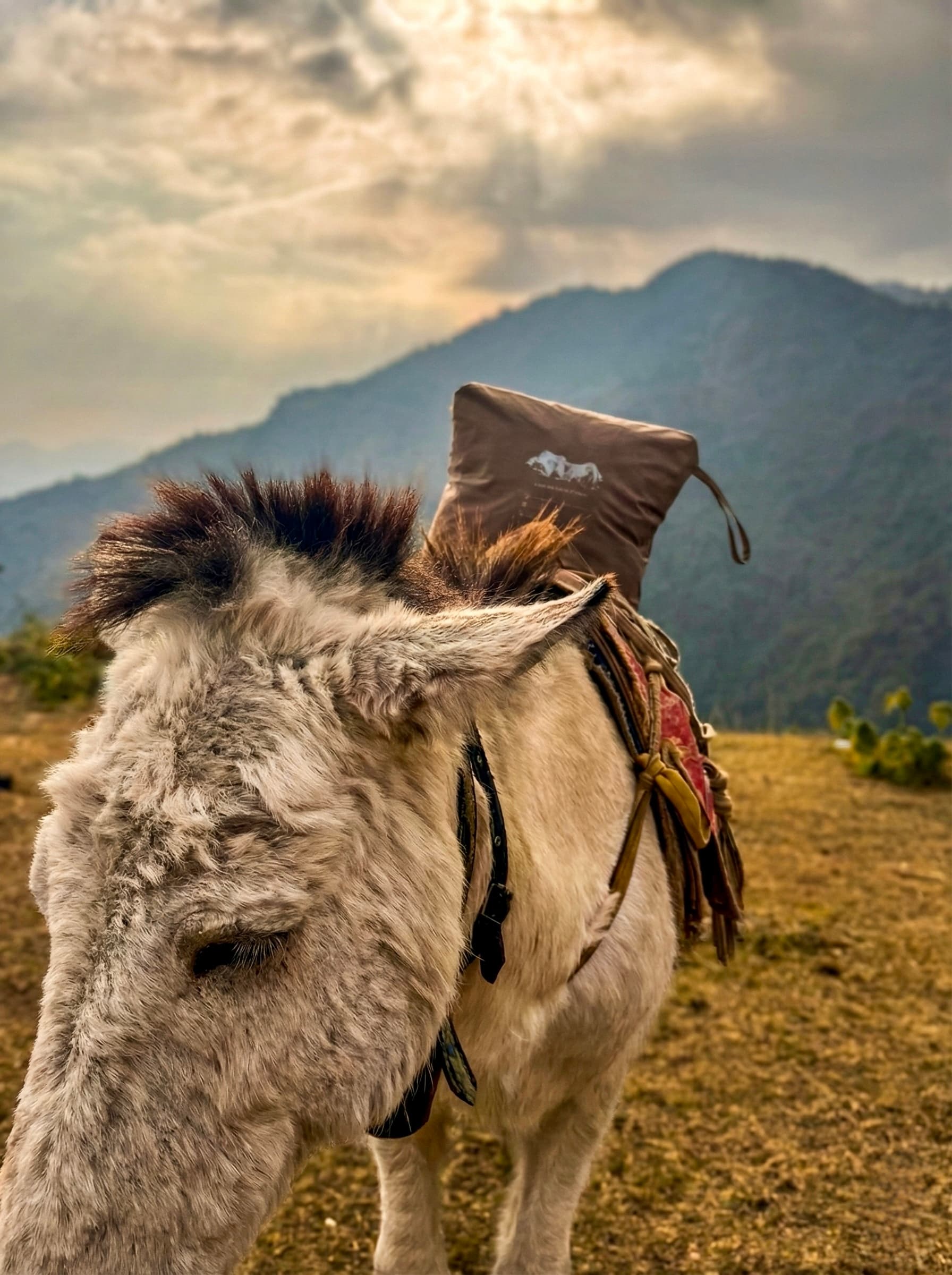 Numbur Series Jacket 2